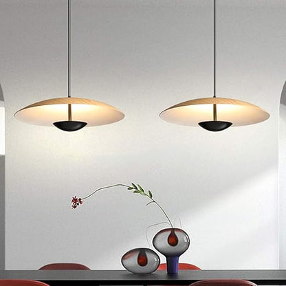 Nordic Designer Led Pendant Lights